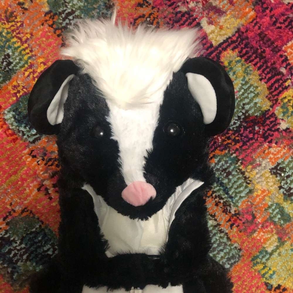 Kids Skunk Halloween Costume. 6-9 months.